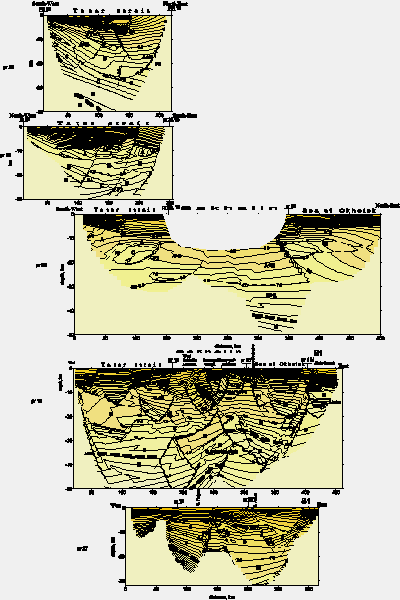 Seismic cross-
sections and geological interpretation along profiles from north to south